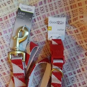 (Med)Dog Lead w/ collar